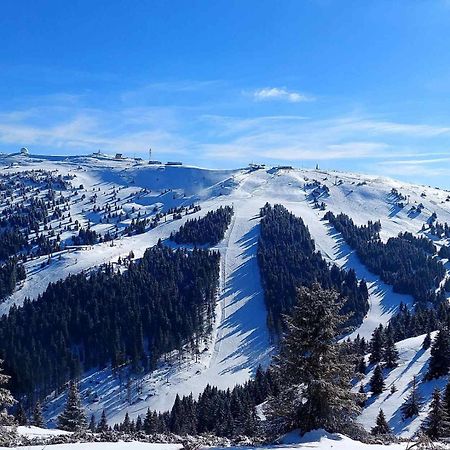 Woodside Apartment M Kopaonik Free Parking Exterior foto