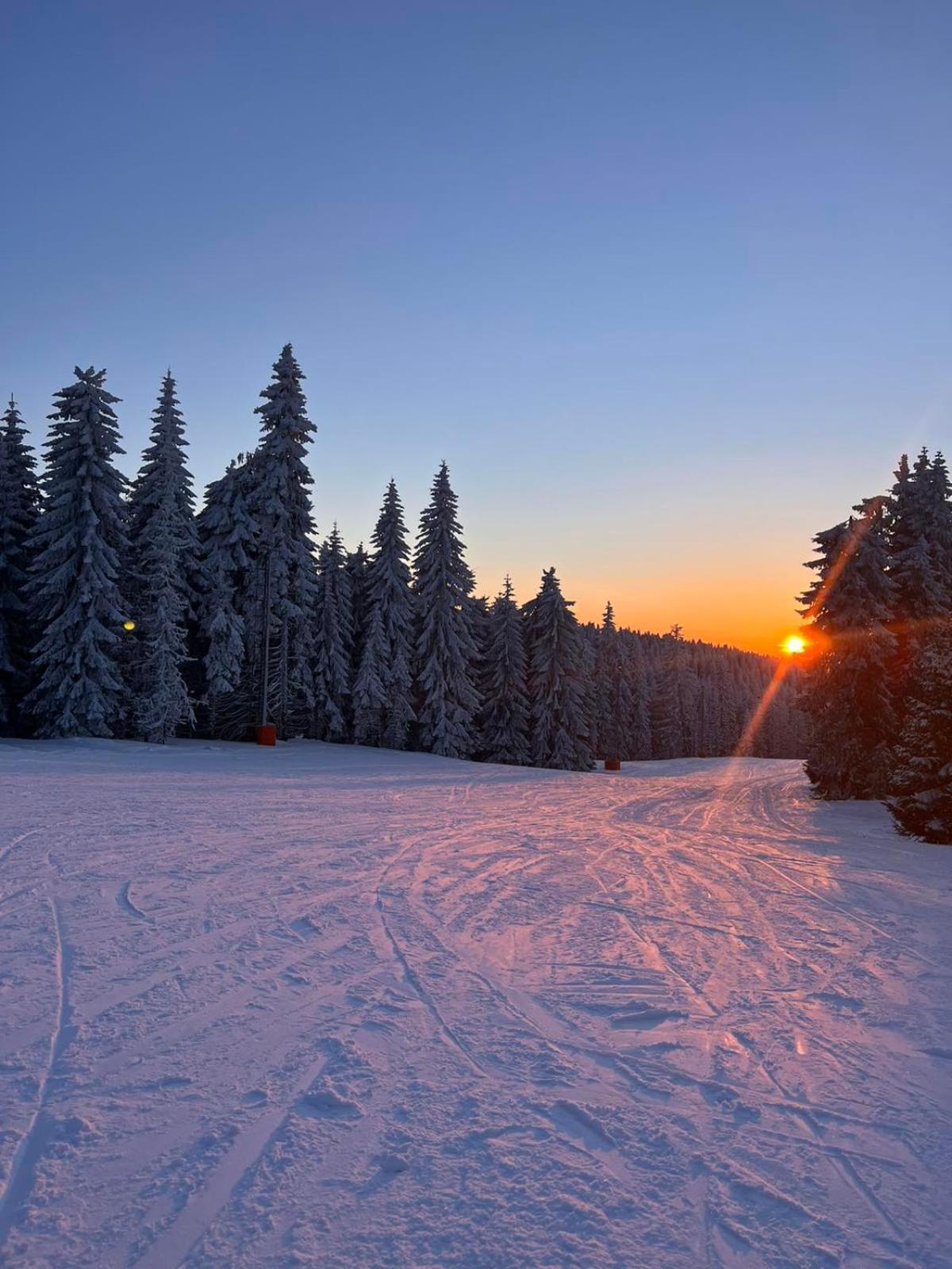 Woodside Apartment M Kopaonik Free Parking Exterior foto
