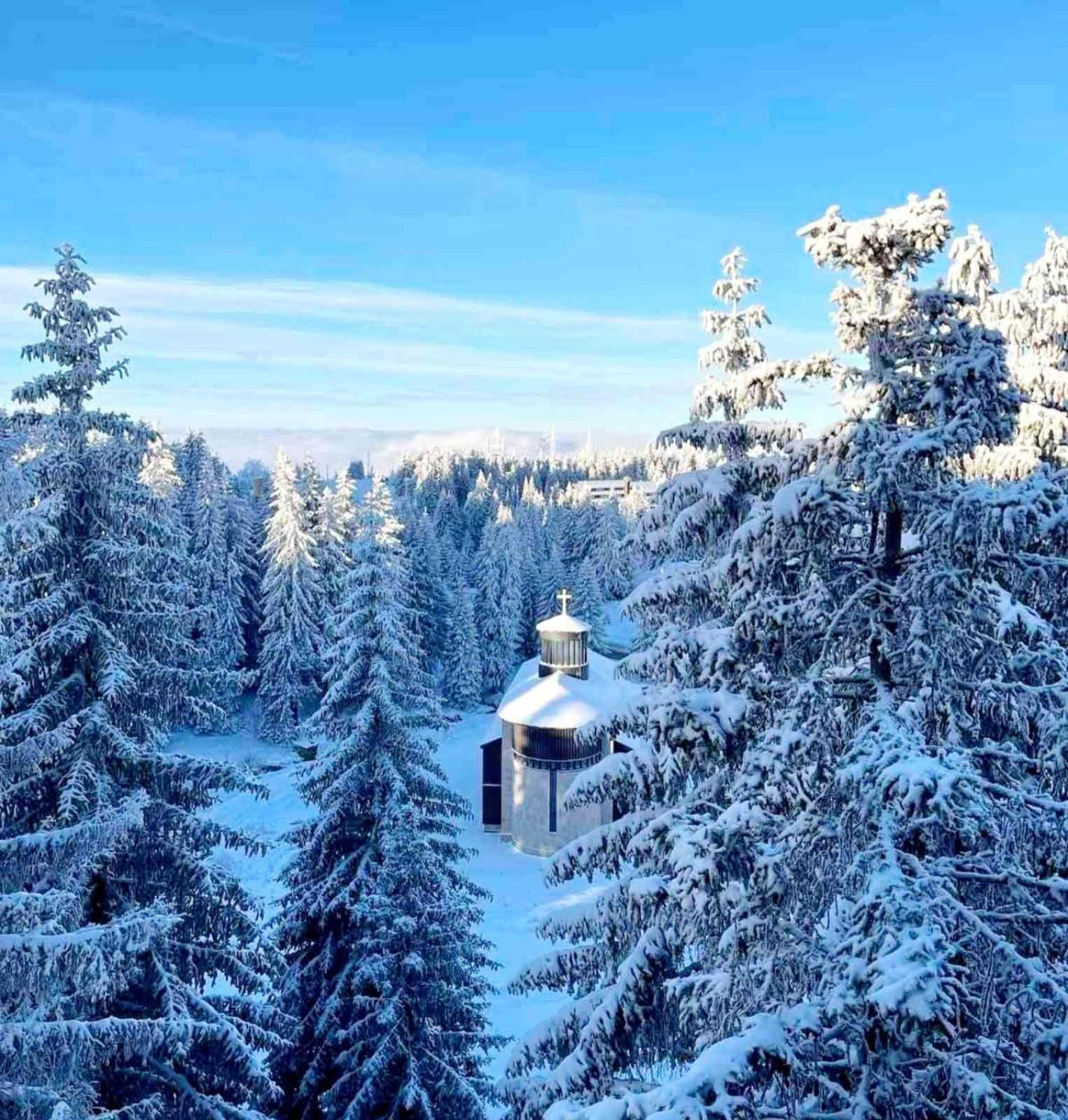 Woodside Apartment M Kopaonik Free Parking Exterior foto