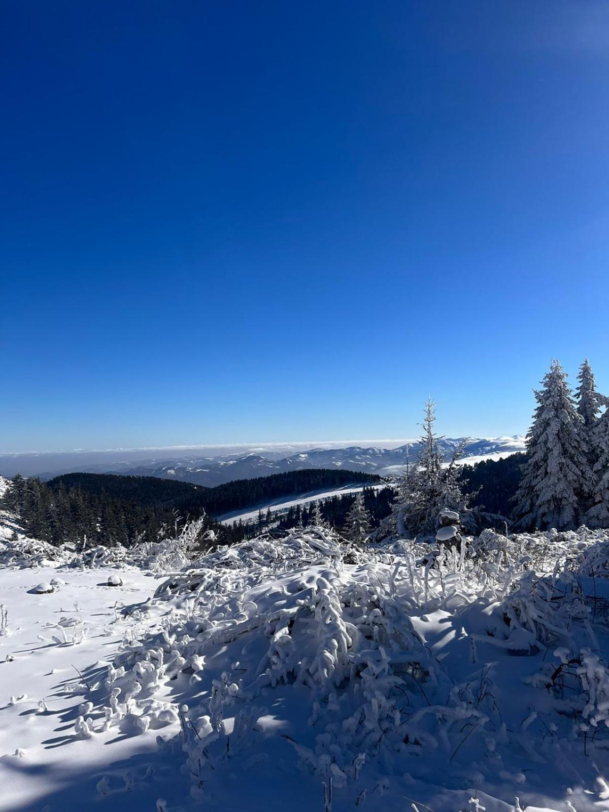 Woodside Apartment M Kopaonik Free Parking Exterior foto