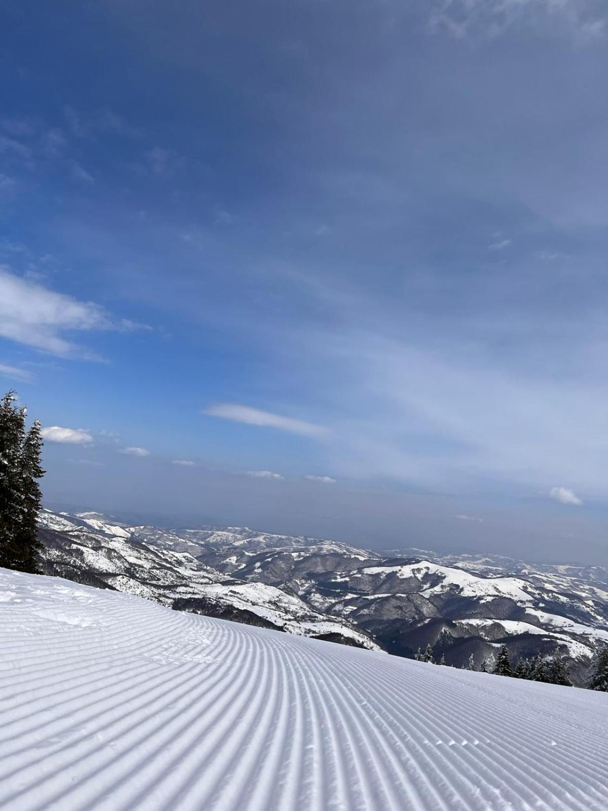 Woodside Apartment M Kopaonik Free Parking Exterior foto