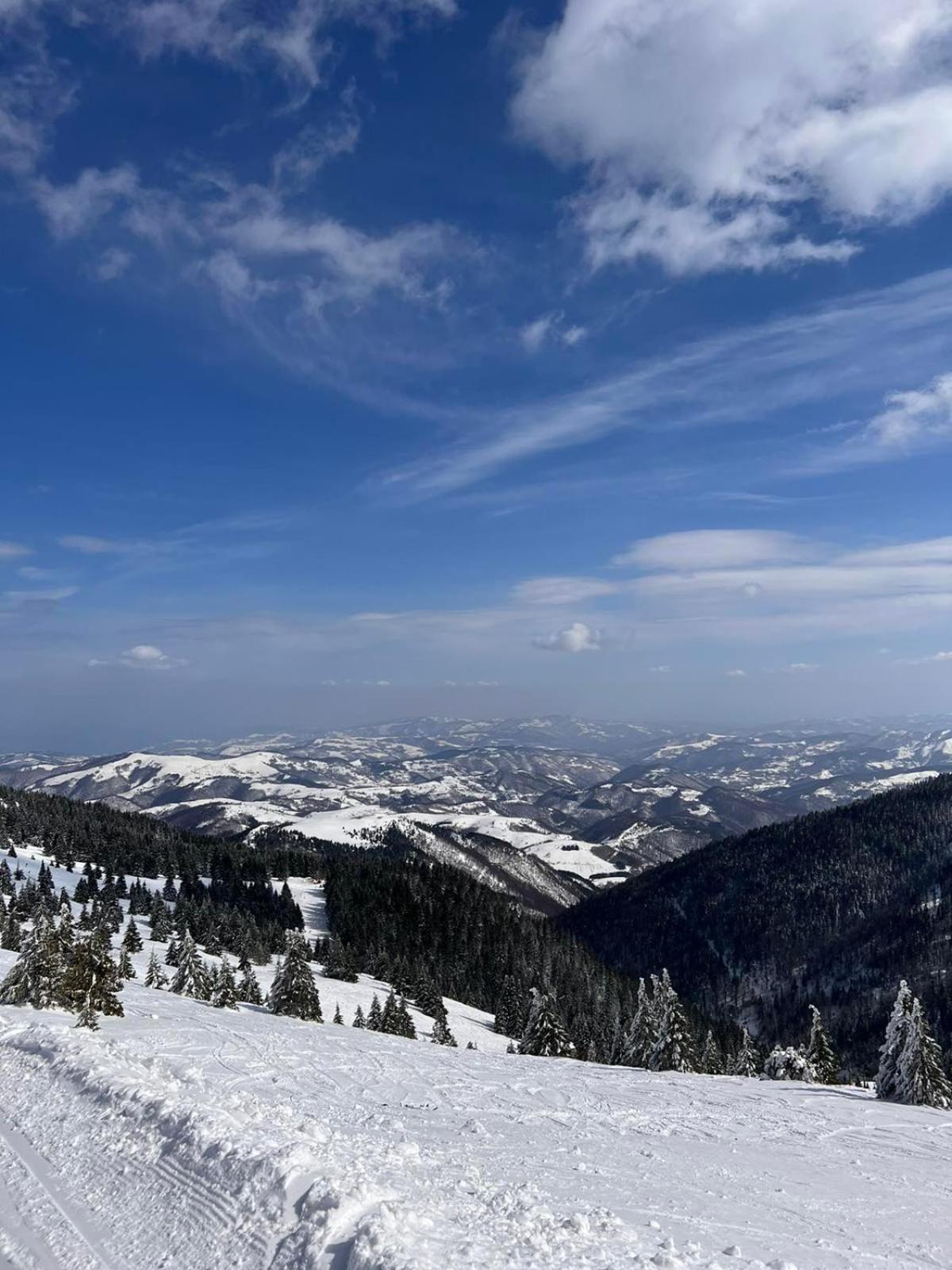Woodside Apartment M Kopaonik Free Parking Exterior foto
