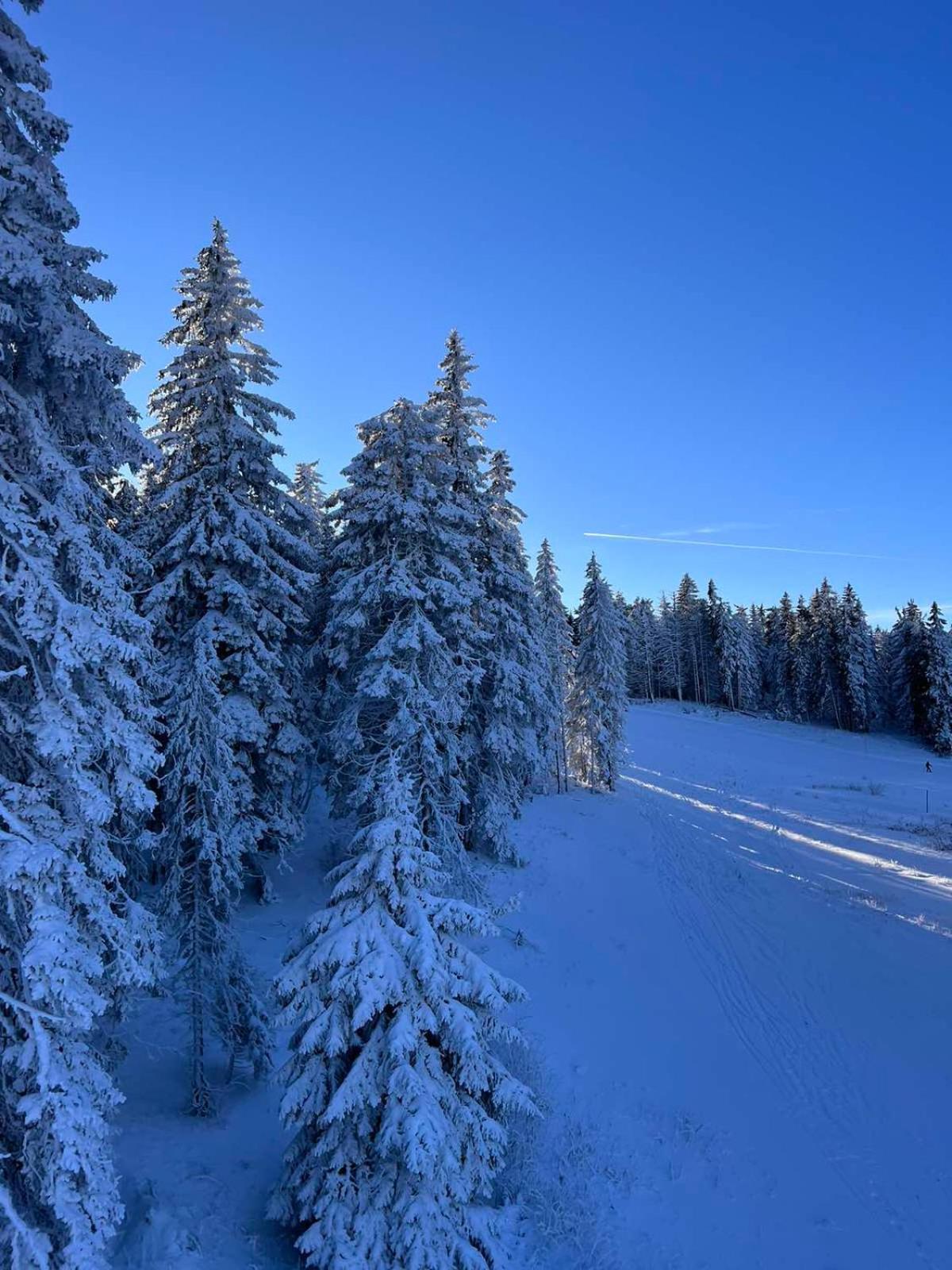 Woodside Apartment M Kopaonik Free Parking Exterior foto
