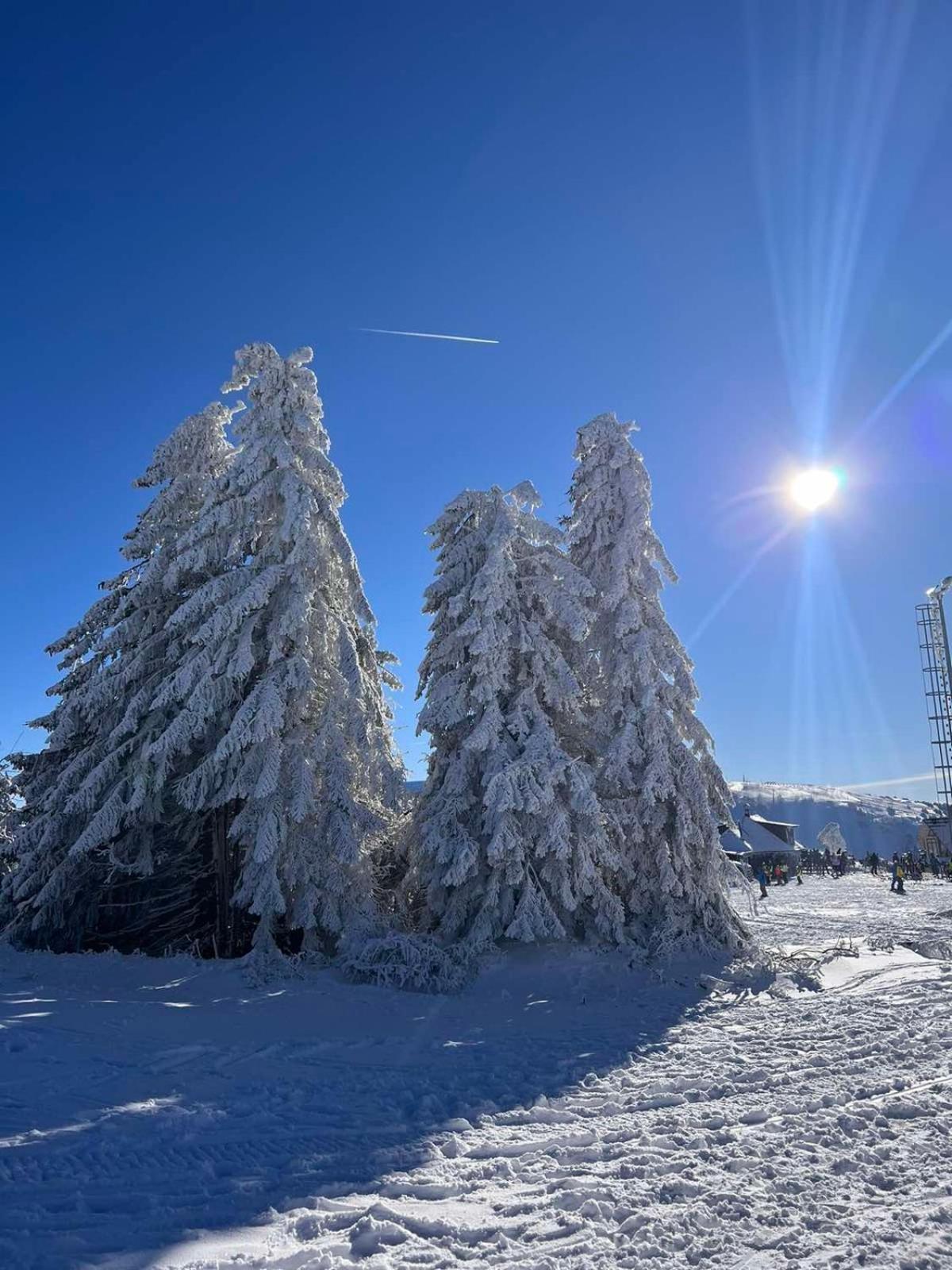 Woodside Apartment M Kopaonik Free Parking Exterior foto